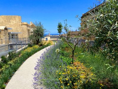 448_Roof Garden and Green Wall at Valletta Design Cluster_03