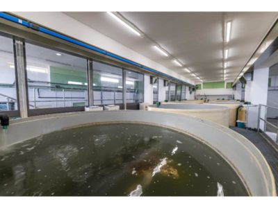 WILDLIFE_CENTRE_Completed_20