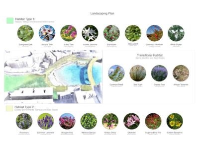 Balluta-Bay-Connecting-Land-and-Water_drawings_081