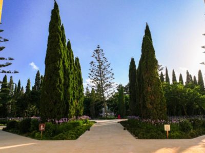 Formal-garden_Completed_28