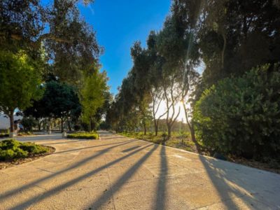 Formal-garden_Completed_31