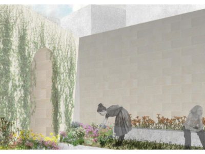 Gladiolus_wider-context_021