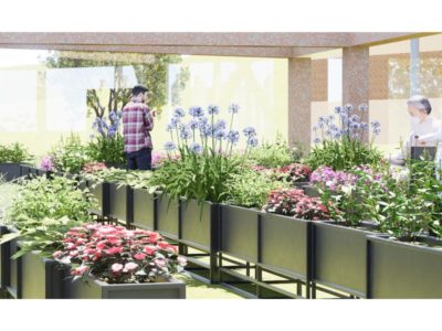 Reviving-Farming-A-Step-Towards-Self-Sufficiency_after_031